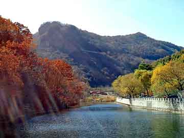 澳门二四六天天彩图库，电脑针织机